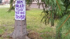 Aktivisté chtějí zachránit stromy ve Vsetíně, umístili na ně emotivní vzkazy. Aktivisté chtějí zachránit stromy ve Vsetíně, umístili na ně emotivní vzkazy.