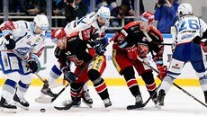 Momentka z utkání Kometa Brno - Hradec Králové. Momentka z utkání Kometa Brno - Hradec Králové.