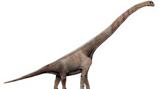 Vizualizace sauropoda Sauroposeidon proteles s naznačenými obřími krčními... Vizualizace sauropoda Sauroposeidon proteles s naznačenými obřími krčními...