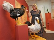 Před několika lety se v havířovské výstavní síni Musaion konala výstava... Před několika lety se v havířovské výstavní síni Musaion konala výstava...