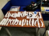 Zadržený muž policii vydal svojí sbírku ustřižených vlasů. Zadržený muž policii vydal svojí sbírku ustřižených vlasů.