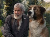 Záběr z filmu Volání divočiny Záběr z filmu Volání divočiny
