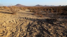 Písečnou krajinou poblíž Victorville se moc lidí neprochází. Zdánlivě ideální... Písečnou krajinou poblíž Victorville se moc lidí neprochází. Zdánlivě ideální...