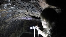 Sčítání netopýrů na zimovištích, což nejsou pouze hradní sklepy, ale třeba i... Sčítání netopýrů na zimovištích, což nejsou pouze hradní sklepy, ale třeba i...