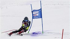 Filip Zubčič v obřím slalomu v japonském středisku Naeba. Filip Zubčič v obřím slalomu v japonském středisku Naeba.