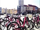 Se začátkem března se vrátila do ulic Prahy růžová Rekola. Mnoho je jich k zapůjčení například na Staroměstském náměstí.
Se začátkem března se vrátila do ulic Prahy růžová Rekola. Mnoho je jich k zapůjčení například na Staroměstském náměstí.