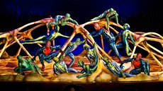 Kanadská společnost Cirque du Soleil v představení Totem, se kterým vystoupí v... Kanadská společnost Cirque du Soleil v představení Totem, se kterým vystoupí v...