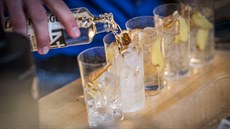 Ginfest Ginfest
