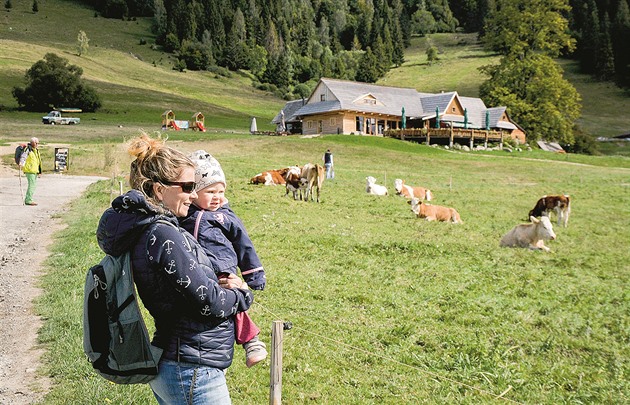 Pímo z ruky mete krmit sysly na Muráské planin.