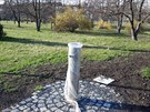 V oblíbené Jiráskově Aleji na Sídlišti Solidarita v Praze 10-Strašnicích budou pítka. V oblíbené Jiráskově Aleji na Sídlišti Solidarita v Praze 10-Strašnicích budou pítka.