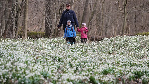 Záleží na počasí. když je pěkně, údolí Chlébského potoka se zaplní lidmi.