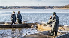 Třeboňští rybáři v těchto dnech loví Opatovický rybník. Třeboňští rybáři v těchto dnech loví Opatovický rybník.