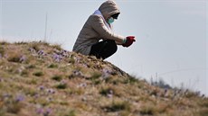 Vládní opatření a zároveň i chladné počasí se podepsaly na množství lidí... Vládní opatření a zároveň i chladné počasí se podepsaly na množství lidí...