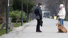 Kolonádu ochromil vir Ještě před dvěma týdny žily poděbradské lázně běžným... Kolonádu ochromil vir Ještě před dvěma týdny žily poděbradské lázně běžným...