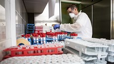 Zpracování vzorků odebraných na testování nemoci COVID-19 v laboratoři... Zpracování vzorků odebraných na testování nemoci COVID-19 v laboratoři...