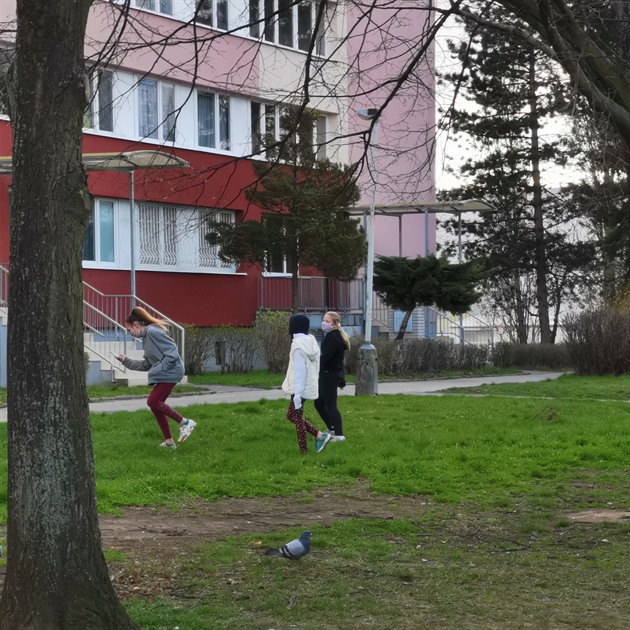 Děti se během karantény poflakují po sídlištích a městech ve skupinách. Toto nejsou prázdniny děti.
Praha - Ládví