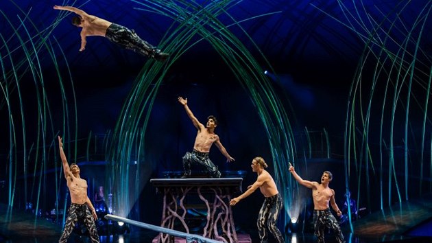 z představení Cirque du Soleil Amaluma z představení Cirque du Soleil Amaluma