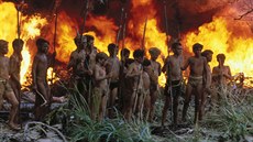 Příběh o zfanatizování, právu silnějšího, nesolidaritě. Knihu Pán much napsal... Příběh o zfanatizování, právu silnějšího, nesolidaritě. Knihu Pán much napsal...