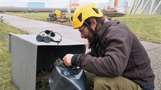 Ornitolog Václav Beran připravuje sokolí budku. Ornitolog Václav Beran připravuje sokolí budku.