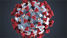 Nový koronavirus SARS-CoV-2 Nový koronavirus SARS-CoV-2