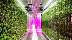 Vertikální farma Square Roots v New Yorku by měla poskytovat čerstvé a lokální... Vertikální farma Square Roots v New Yorku by měla poskytovat čerstvé a lokální...
