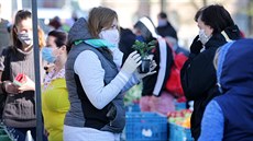 Trhovci na jihlavském Masarykově náměstí v pondělí během pár hodin prodali... Trhovci na jihlavském Masarykově náměstí v pondělí během pár hodin prodali...