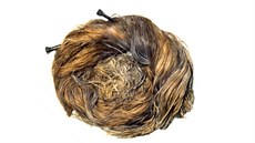 Sout vyhlásilo Yorkshirské muzeum a samo vykoplo tký kalibr: vlasový drdol...