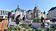 Zákazníci si ve dvanácti stáncích na brnnském Zelném trhu mohli koupit...