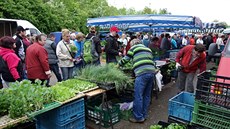 Trhy v areálu bývalé rosické cihelny jsou otevřeny každou sobotu od března do... Trhy v areálu bývalé rosické cihelny jsou otevřeny každou sobotu od března do...