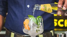 Schweppes Schweppes