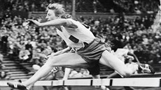 Fanny Blankersová-Koenová na olympiádě v Londýně 1948 při zlatém běhu na 80... Fanny Blankersová-Koenová na olympiádě v Londýně 1948 při zlatém běhu na 80...