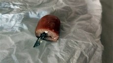 Policisté pátrají po pachateli, který nastražil nebezpečnou návnadu v Holýšově.... Policisté pátrají po pachateli, který nastražil nebezpečnou návnadu v Holýšově....