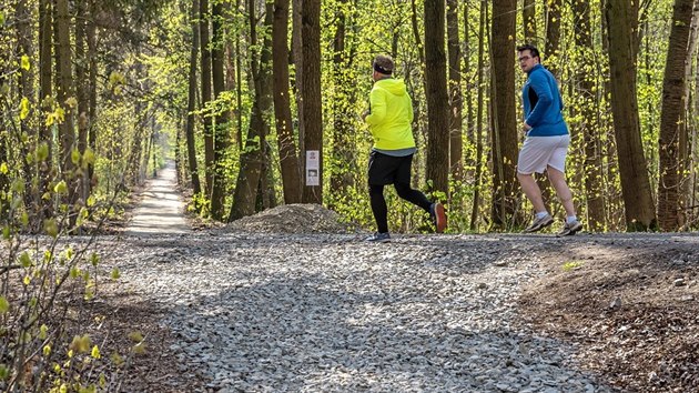 Mnozí návštěvníci Studáneckého lesa nedaleko sídliště Dubina se nemohou s novými štěrkovými cestami smířit.