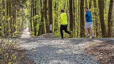 Mnozí návštěvníci Studáneckého lesa nedaleko sídliště Dubina se nemohou s... Mnozí návštěvníci Studáneckého lesa nedaleko sídliště Dubina se nemohou s...