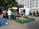 Snímek z Kubánského náměstí v Praze 10-Vršovicích. Snímek z Kubánského náměstí v Praze 10-Vršovicích.