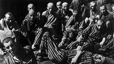 KOMENTÁŘ: Rom jako Žid. Stejnou úctu obětem války Vězni koncentračního tábora v Terezíně krátce po osvobození v květnu 1945. | na serveru Lidovky.cz | aktuální zprávy
