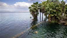 Galilejské jezero (na snímku z 25. dubna 2020) je hlavním zdrojem pitné vody... Galilejské jezero (na snímku z 25. dubna 2020) je hlavním zdrojem pitné vody...