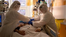 Ve Fakultní nemocnici v Ostravě začali používat k léčbě pacientů s nemocí... Ve Fakultní nemocnici v Ostravě začali používat k léčbě pacientů s nemocí...