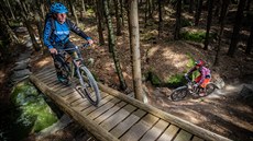 V okolí Čížkových kamenů u Trutnova jezdí bikeři už na 35 kilometrech stezek... V okolí Čížkových kamenů u Trutnova jezdí bikeři už na 35 kilometrech stezek...