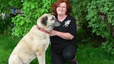 Hana Řehořková Hana Řehořková