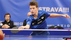 Stolní tenista Šimon Bělík se soustředí na forhendový úder. Stolní tenista Šimon Bělík se soustředí na forhendový úder.