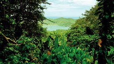 Darién Gap je rozlehlý, neprostupný a bažinatý deštný prales na hranicích... Darién Gap je rozlehlý, neprostupný a bažinatý deštný prales na hranicích...