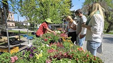 Po uvolnění zákazů už začaly farmářské trhy i v Novém Městě. Od května se tam... Po uvolnění zákazů už začaly farmářské trhy i v Novém Městě. Od května se tam...