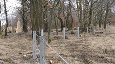 Betonové sloupky s ocelovými lany podle názorů lidí, kteří sepsali petici,... Betonové sloupky s ocelovými lany podle názorů lidí, kteří sepsali petici,...