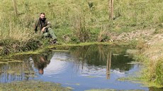 Veškeré pozemky pokryté stálezeleným rostlinstvem. I díky tomu například ze... Veškeré pozemky pokryté stálezeleným rostlinstvem. I díky tomu například ze...
