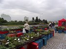 U Komunitního centra Matky Terazy se konají farmářské trhy každé pondělí a středu od 8 do 18.hod. Tradiční sortiment zeleniny, ovoce, masa, květiny, pečiva. U Komunitního centra Matky Terazy se konají farmářské trhy každé pondělí a středu od 8 do 18.hod. Tradiční sortiment zeleniny, ovoce, masa, květiny, pečiva.
