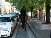 I policistky vědí, že na koni se nosí přilba.
