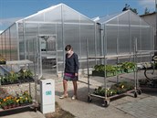 Školní statek v Opavě otevřel nové skleníky a postupně se stává krajským... Školní statek v Opavě otevřel nové skleníky a postupně se stává krajským...