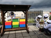Na terase jihlavského krajského úřadu vše připravili mladí včelaři z... Na terase jihlavského krajského úřadu vše připravili mladí včelaři z...