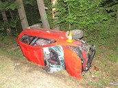 Řidička před nehodou vypila půl litru červeného vína. Řidička před nehodou vypila půl litru červeného vína.